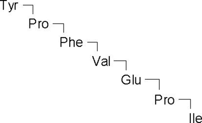 β-Casomorphin, human Structure