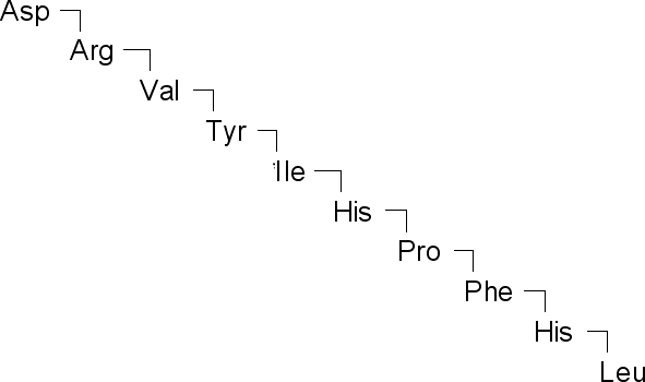 Angiotensin I, human Structure