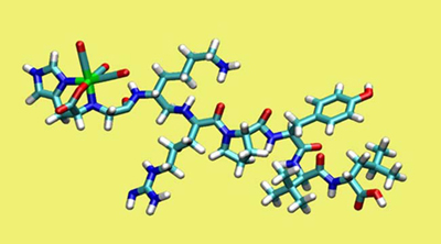 Neurotensin Structure