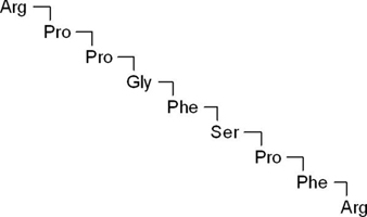 Bradykinin Structure Bradykinin Structure