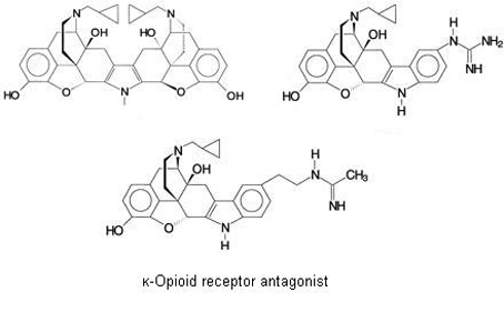 Opioid receptor antagonist Structure