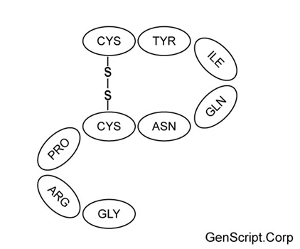 [Arg8]-Vasotocin Structure