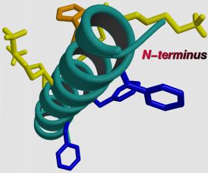Magainin II Example