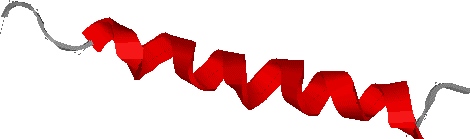 Glucagon Structure