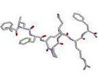 Neuropeptide FF Example Neuropeptide FF Example