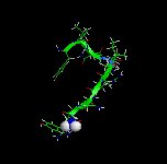 Neuropeptide Y Example