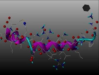Orexin B, human Example