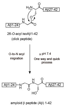 beta-amyloid( 1-42) Example beta-amyloid( 1-42) Example