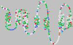Bradykinin Structure Bradykinin Structure