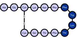 Somatostatin Structure