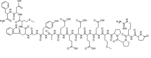 Gastrin-1, rat Structure