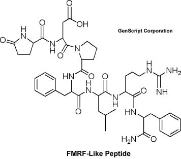 FMRF-Like Peptide structure