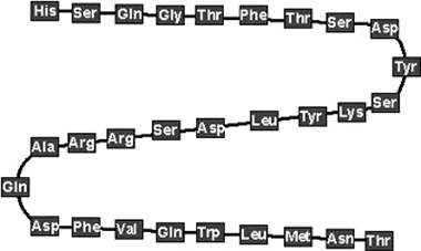 Glucagon, human Structure Glucagon, human Structure