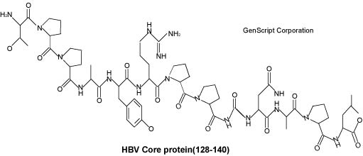 HBV Core protein 128-140 structure HBV Core protein 128-140 structure