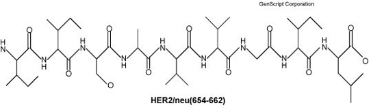 HER2/neu(654-662) structure HER2/neu(654-662) structure