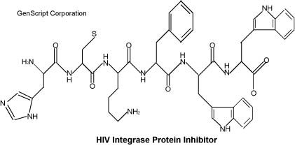 HIV Integrase Protein Inhibitor 1 structure HIV Integrase Protein Inhibitor 1 structure