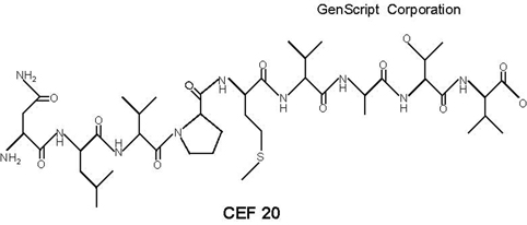 CEF20 Structure CEF20 Structure