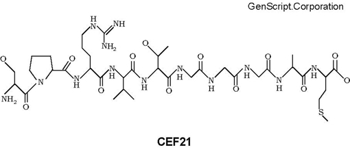 CEF21 Structure