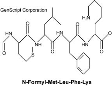 fMLFK structure