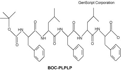 BOC-PLPLP structure