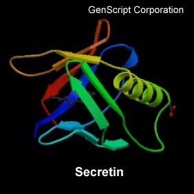 Secretin structure Secretin structure