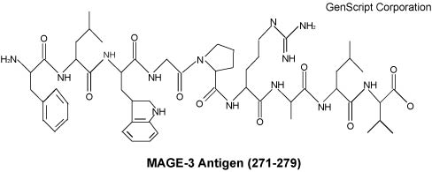 MAGE-3 Antigen 271-279 structure MAGE-3 Antigen 271-279 structure