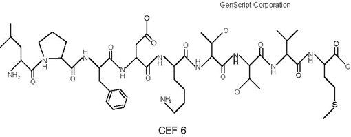 CEF6 Structure