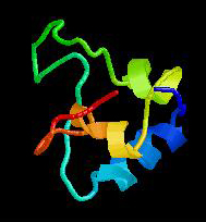 Human Insulin-Like Growth Factor 1 Structure Human Insulin-Like Growth Factor 1 Structure