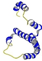 Human Interferon gamma Structure Human Interferon gamma Structure