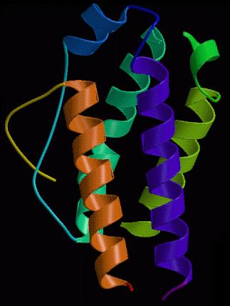 Interleukin-2 Structure