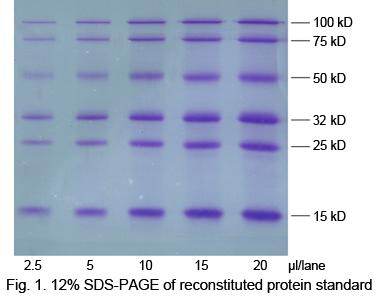Smart Protein Marker SDS-PAGE