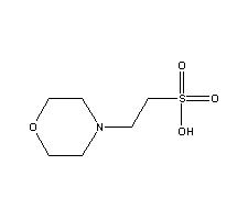 MES free water Structure