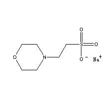 MES Sodium salt Structure