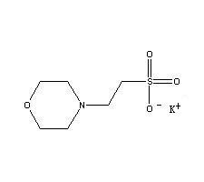 MES potassium salt Structure
