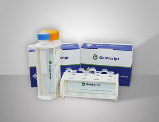 Multifunctional Magnetic Separation Rack