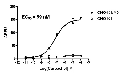 Stable Cell Line-CHO-K1/M5 Stable Cell Line