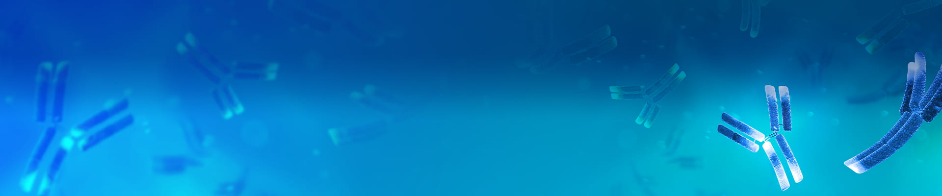 cAMP_cGMP_mAb