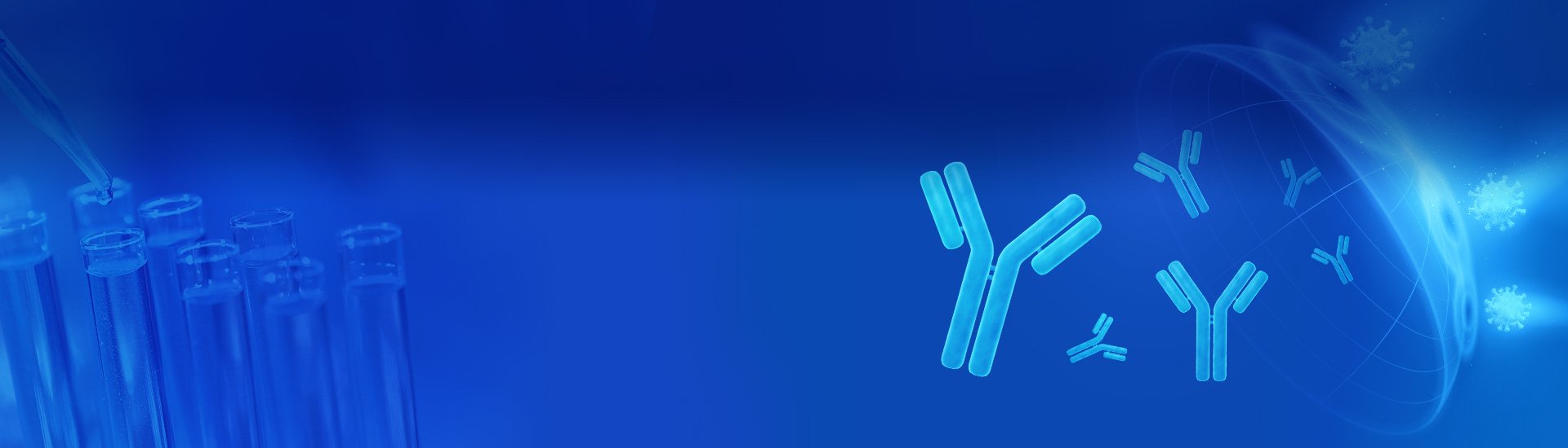 Antibodies and Immunodetection