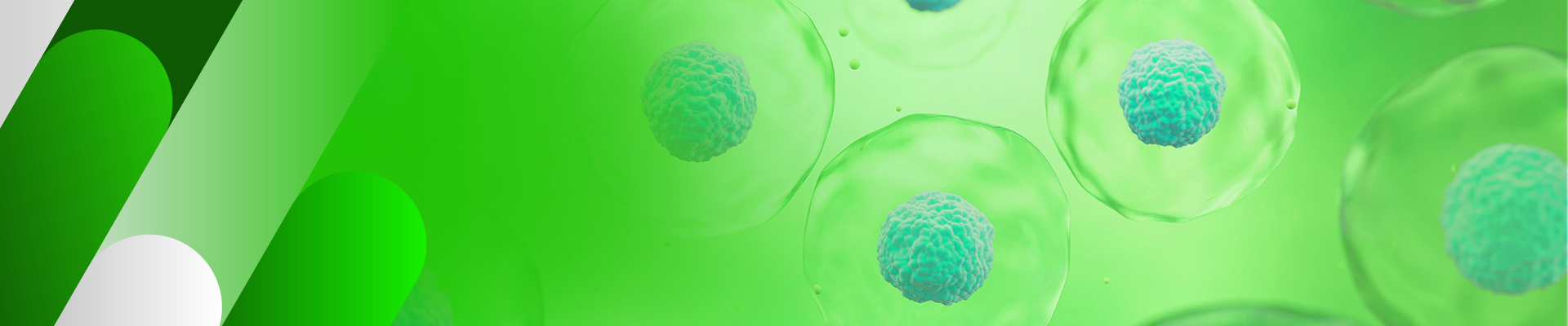 Cell Isolation and Activation Cell Isolation and Activation