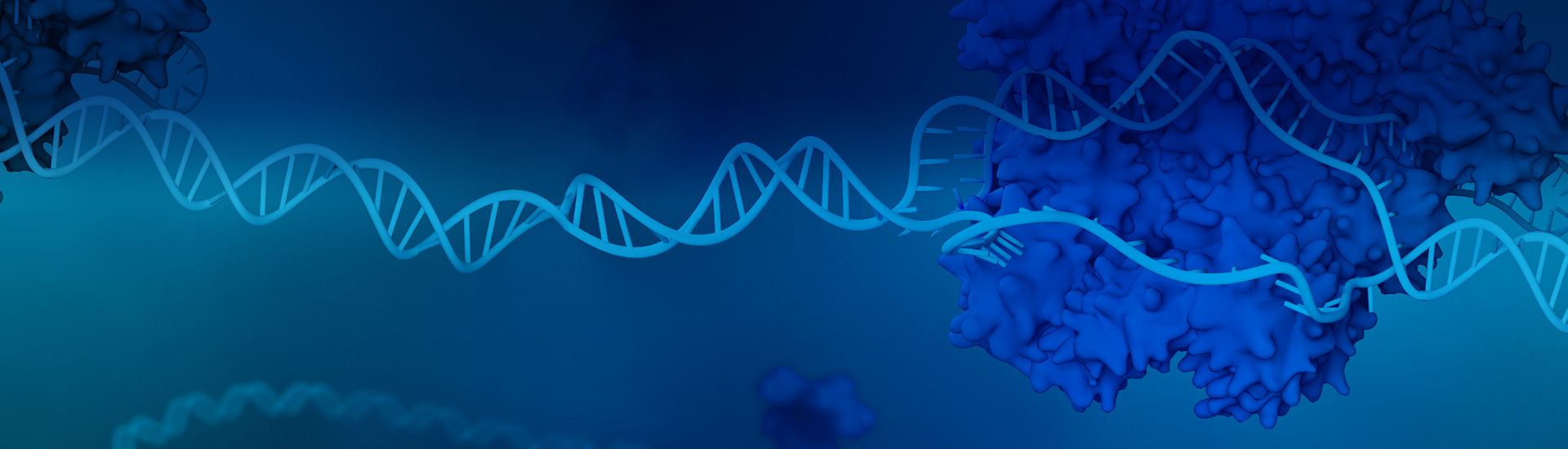 Antibodies and Immunodetection