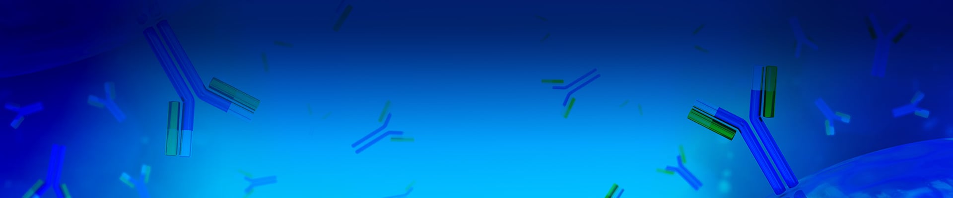 Fc Receptor Stable Cell Lines