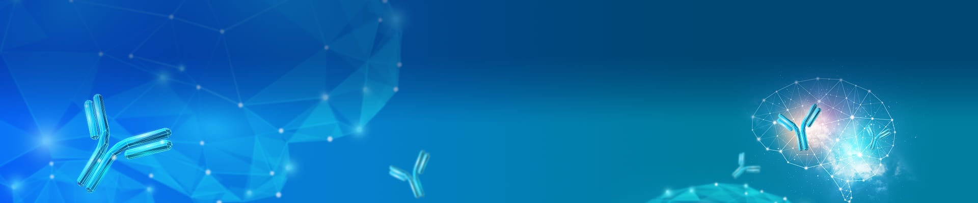 PCR reagents/dNTPs
