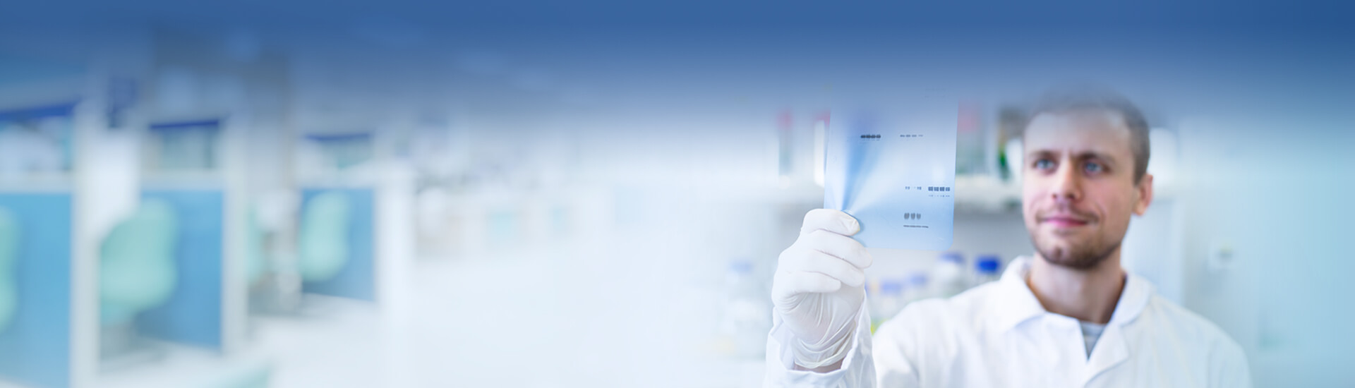 Protein Electrophoresis and Blotting
