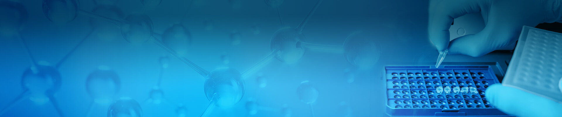 Reasonable PCR Enzyme
