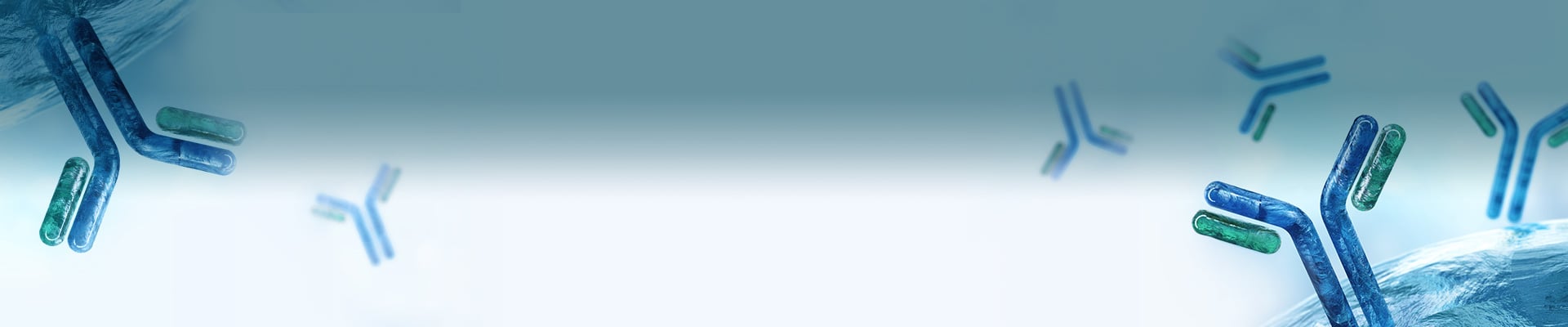 THE™ Tag Antibodies, iFluor Dye Conjugate