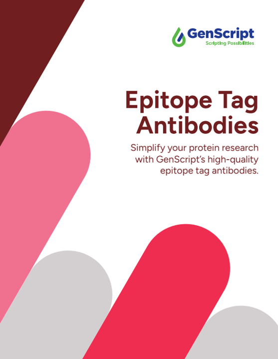 Epitope Tag Antibodies Brochure