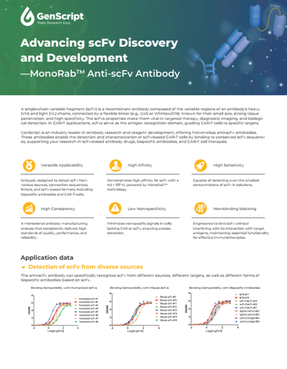 Anti-scFv Antibodies Flyer