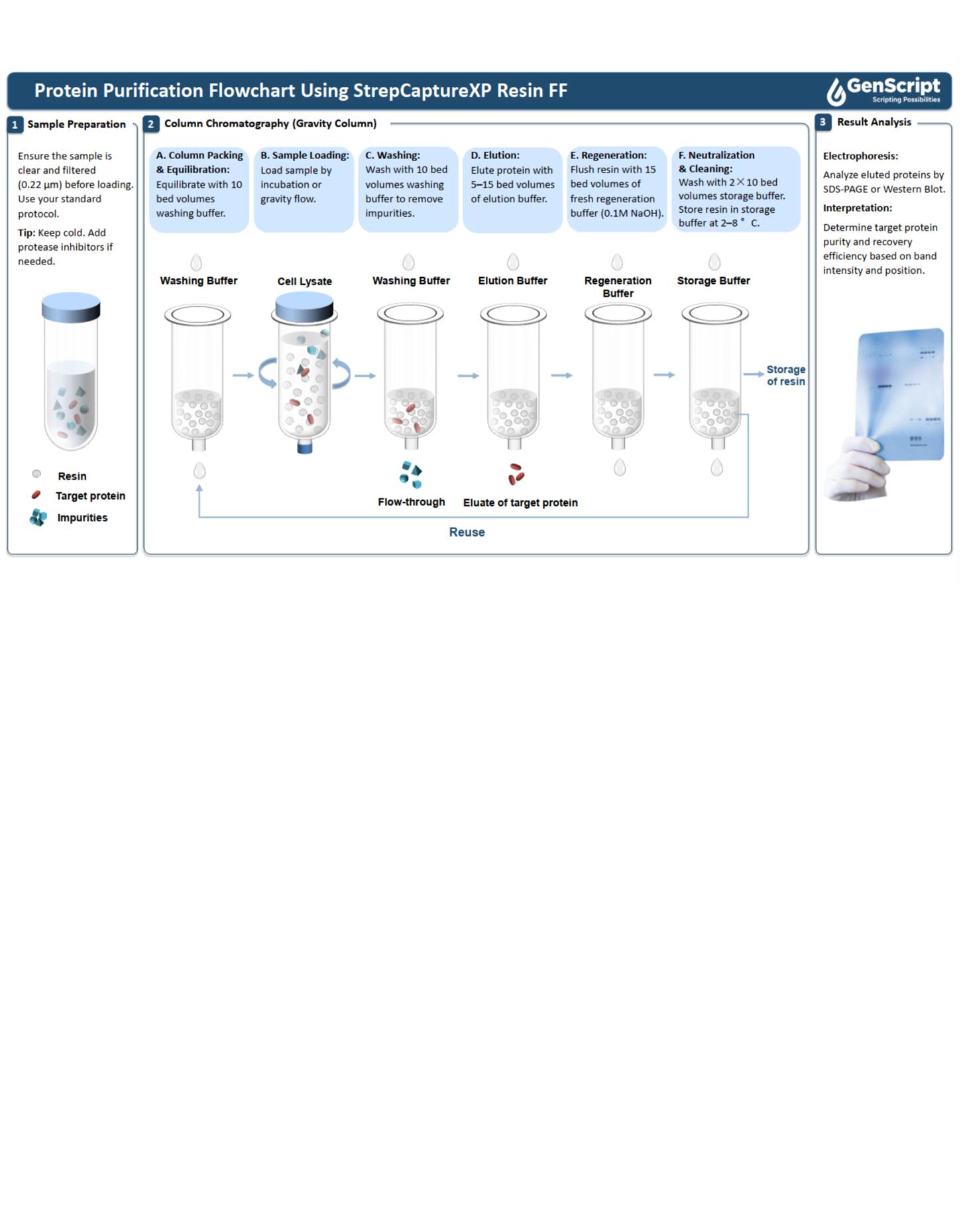 StrepCaptureXP Resin FF 