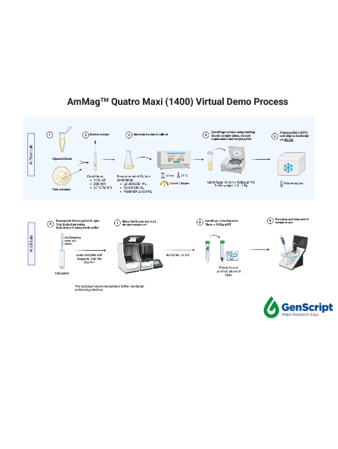 GenScript’s AmMag™ Quatro Flyer