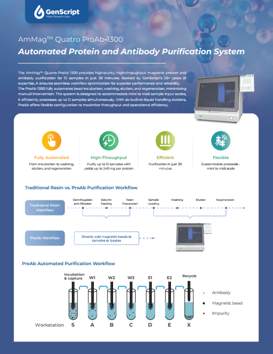 AmMag™ Quatro ProAb Flyer